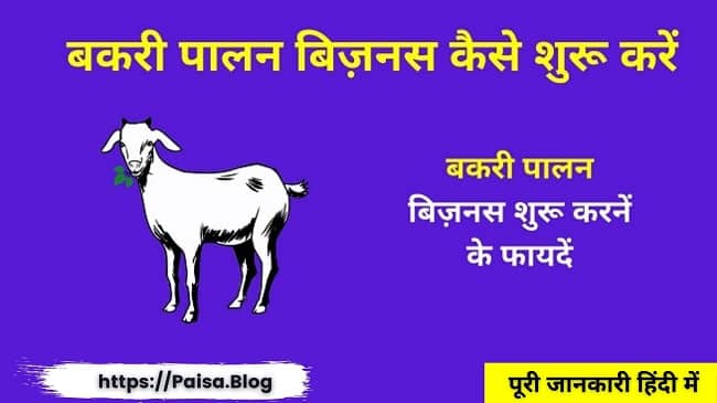 बकरी पालन बिज़नस कैसे शुरू करें Goat Farming Business In Hindi