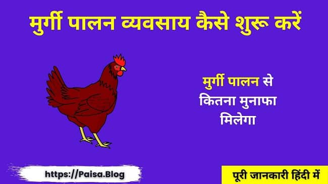 मुर्गी पालन का बिज़नस Poultry Farm Business Plan in Hindi